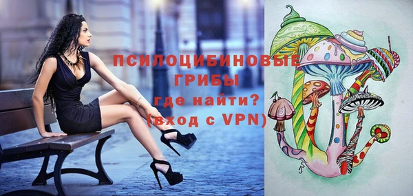 mix Бородино