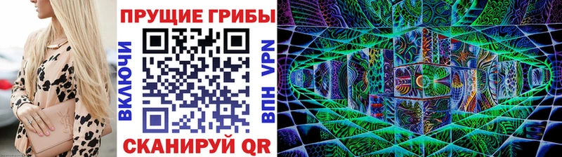где купить   Костерёво  мега рабочий сайт  Галлюциногенные грибы Magic Shrooms 